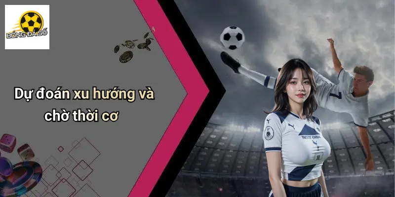 Bảng Xếp Hạng
