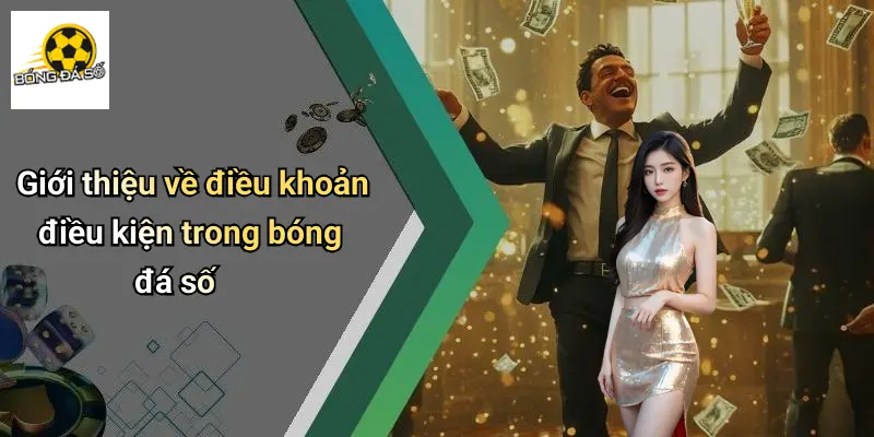 Điều Khoản Điều Kiện