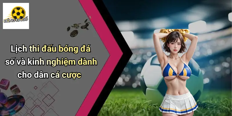 Lịch Thi Đấu