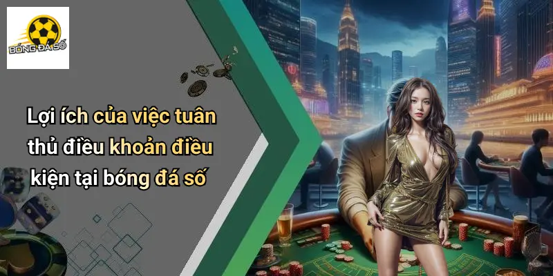 Điều Khoản Điều Kiện