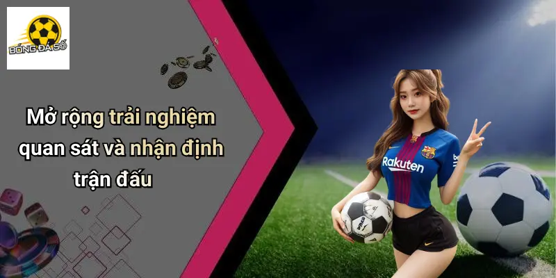 Lịch Thi Đấu