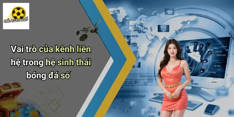 liên hệ