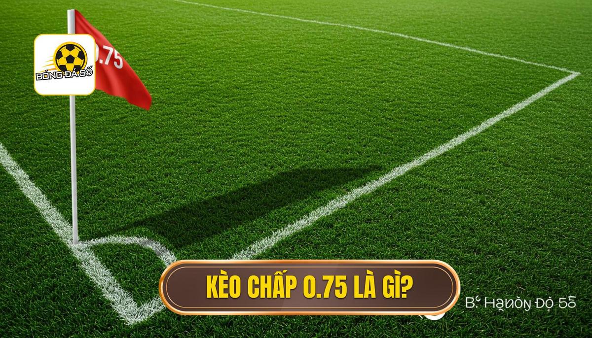 Kèo Chấp 0.75 là Gì? Giải Mã Chi Tiết từ A đến Z | BÓNG ĐÁ SỐ 1 Kèo Chấp 0.75 Là Gì_ Định Nghĩa Cơ Bản