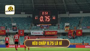 Kèo chấp 0.75 là gì