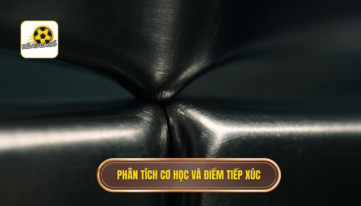 Phân tích Cơ học và Điểm tiếp xúc