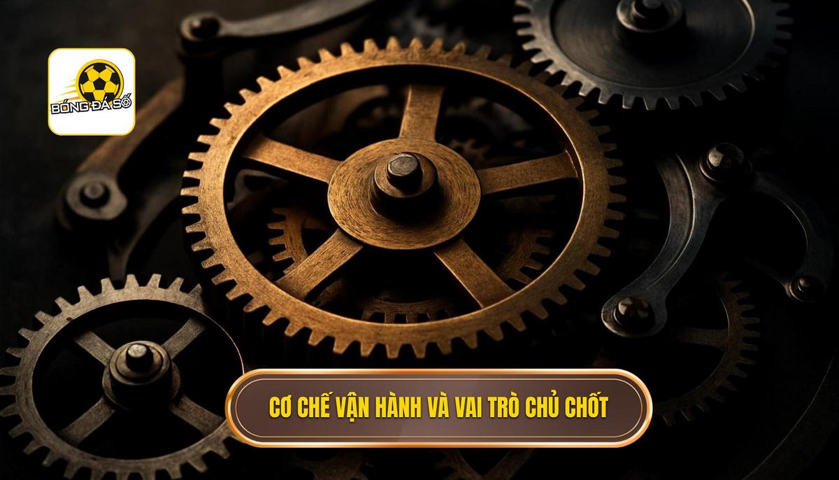 Cơ chế vận hành và vai trò của các vị trí chủ chốt