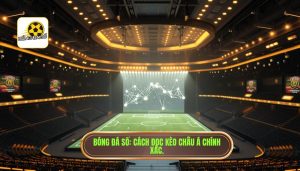 Cách đọc kèo châu Á cực chuẩn từ chuyên gia BÓNG ĐÁ SỐ