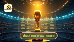 Bảng đấu World Cup 2026